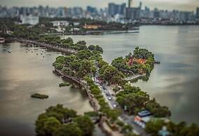 Crescendo Urban Stay