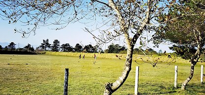 Moonsong Backpackers