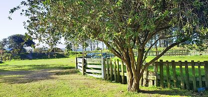 Moonsong Backpackers