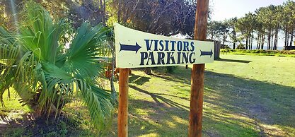 Moonsong Backpackers