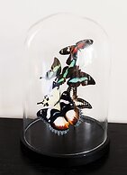 Quob Park The Old House Hotel & Spa