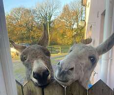 Yr Hen Beudy, Barn Conversion, Sleeps 4, Dogs Ok