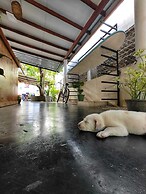 Happy hammocks, Weligama