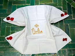 Riad Nelia