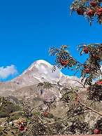 Hotel Axien Kazbegi