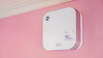 Chuncheon Namiseom pet Friendly Pension