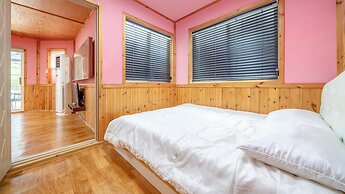 Chuncheon Namiseom pet Friendly Pension
