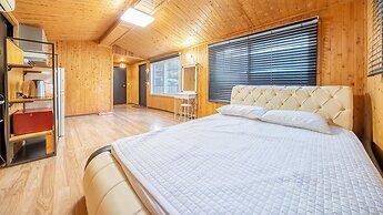 Chuncheon Namiseom pet Friendly Pension