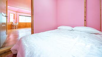 Chuncheon Namiseom pet Friendly Pension