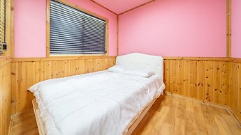 Chuncheon Namiseom pet Friendly Pension