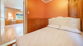 Chuncheon Namiseom pet Friendly Pension