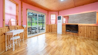 Chuncheon Namiseom pet Friendly Pension