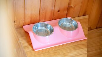 Chuncheon Namiseom pet Friendly Pension