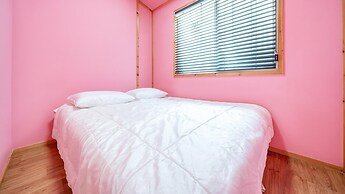 Chuncheon Namiseom pet Friendly Pension