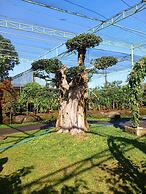 Kartika Dahayu Villa