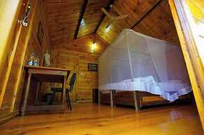 Zen Lazy Days Agonda