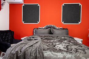 Put Mladih Muslimana 16