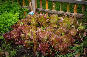 Muelles del Diablo Tranquilo