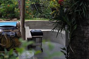 Eco Friendly Mountain Villa