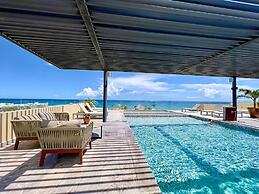 Singular Joy by Casago