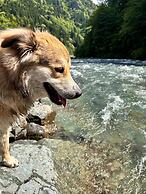 Meydan Şelale Dağ Evi