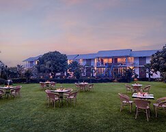 juSTa Lazy Haven Corbett