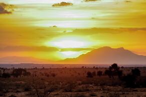 Amanya 1-bed Zebra Tent