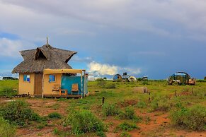 Amanya 1-bed Zebra Tent