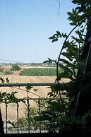 Artistic Vac Villa w pool by Sea N' Rent