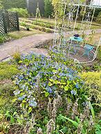 Eagle House- Award Winning B&B and Apartment