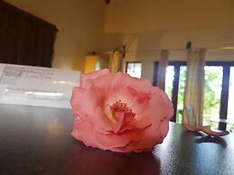 Mulberry Lane Suites