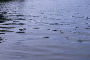 Serendipity Lake - Hikkaduwa