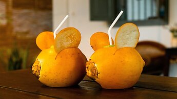 Serendipity Lake - Hikkaduwa