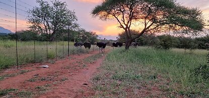 Thandolwami Bush Lodge & Spa