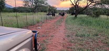 Thandolwami Bush Lodge & Spa