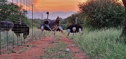 Thandolwami Bush Lodge & Spa