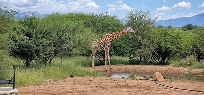 Thandolwami Bush Lodge & Spa