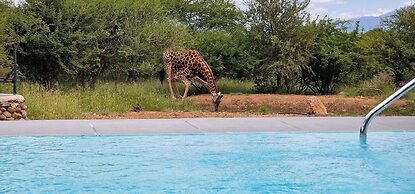 Thandolwami Bush Lodge & Spa
