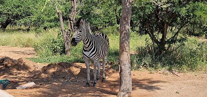 Thandolwami Bush Lodge & Spa