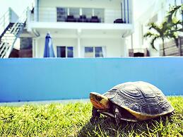 Ocean View Ishigaki Sora and Umi