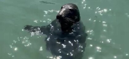 Impeccable 3-bed House in Newquay