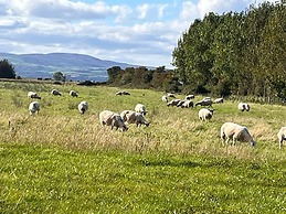 Magilligan - Cottage - Sleeps 6 - Parking - Garden