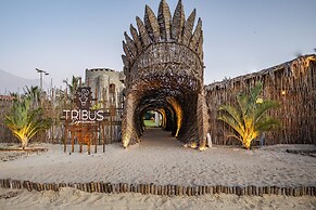 TRIBUS Experience Inn