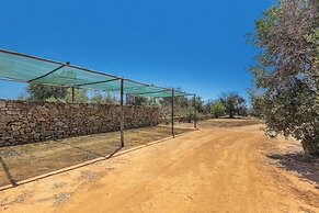 3621 Tenuta Terra del Sole by Perle di Puglia