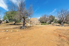 3621 Tenuta Terra del Sole by Perle di Puglia