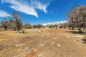 3621 Tenuta Terra del Sole by Perle di Puglia