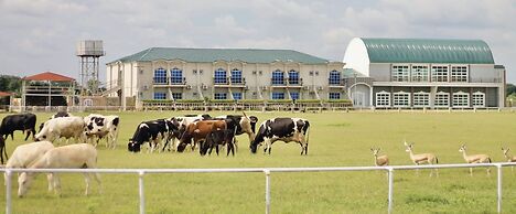Porto Golf Hotel and Suites Kano