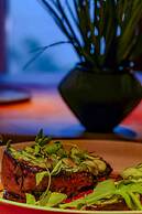 Republica Pagana - Adults Only