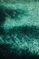 The Jini House - Kabalana