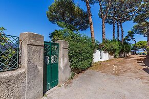 Quite Shelter in Naples